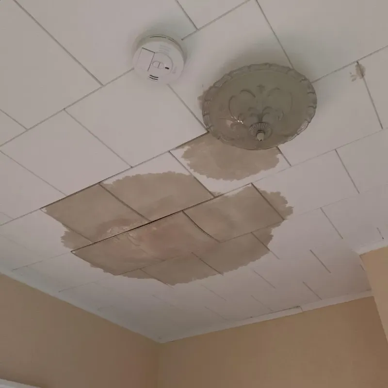 Ceiling Water Damage Repair in Greensburg, KS