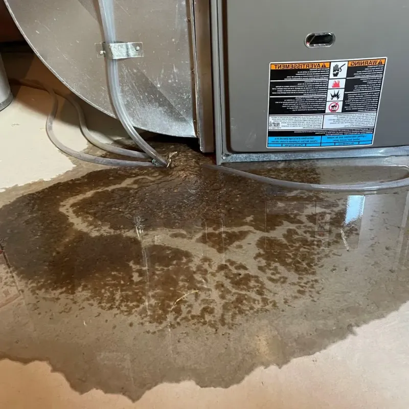 Pipe Burst and Leak Restoration in Greensburg, KS