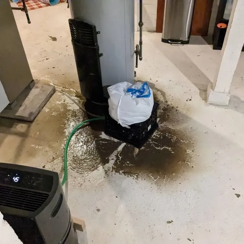 Sewage Backup Cleanup Service in Greensburg, KS